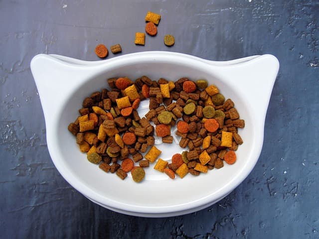 Eco, Bio, Organic: How Pet Owners Choose Products