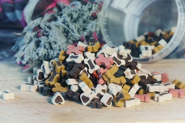 Health and Longevity: The Growing Demand for Functional Pet Nutrition