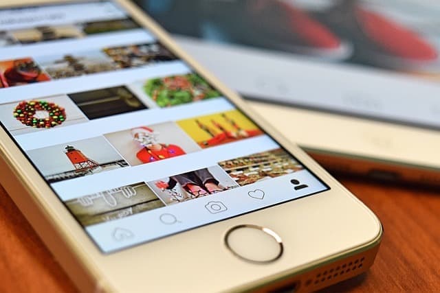 Collaborations and Influencers: Should You Work with Pet Bloggers?