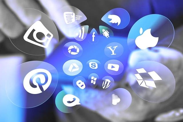 Instagram and TikTok for Pet Brands: Which Content Formats Work?