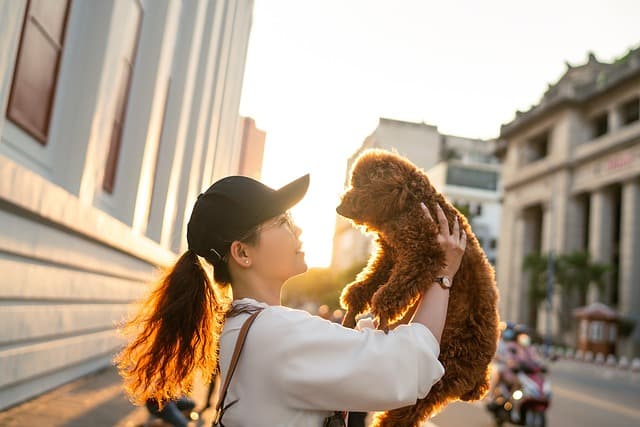 Storytelling in Pet Business: How to Build Trust through Content